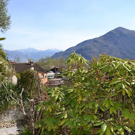 Apartment Casa Curioni